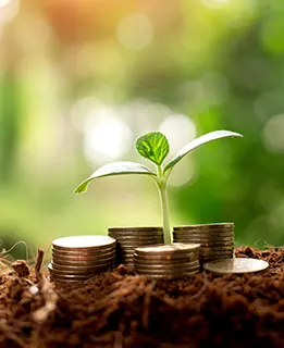 retirement income growing